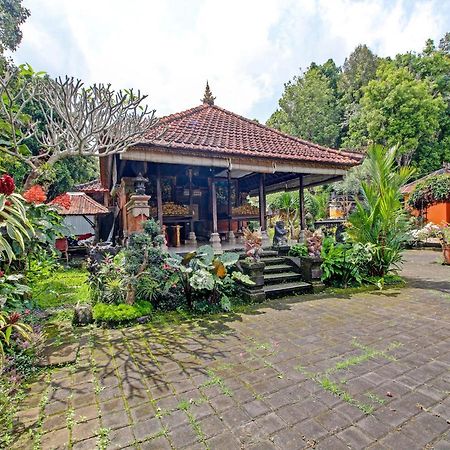 Oyo Homes 91091 Desa Wisata Umejero Munduk Zewnętrze zdjęcie