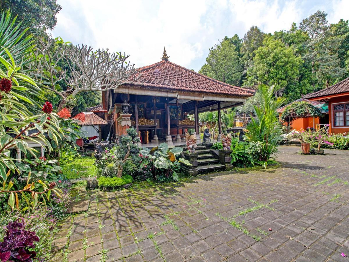 Oyo Homes 91091 Desa Wisata Umejero Munduk Zewnętrze zdjęcie