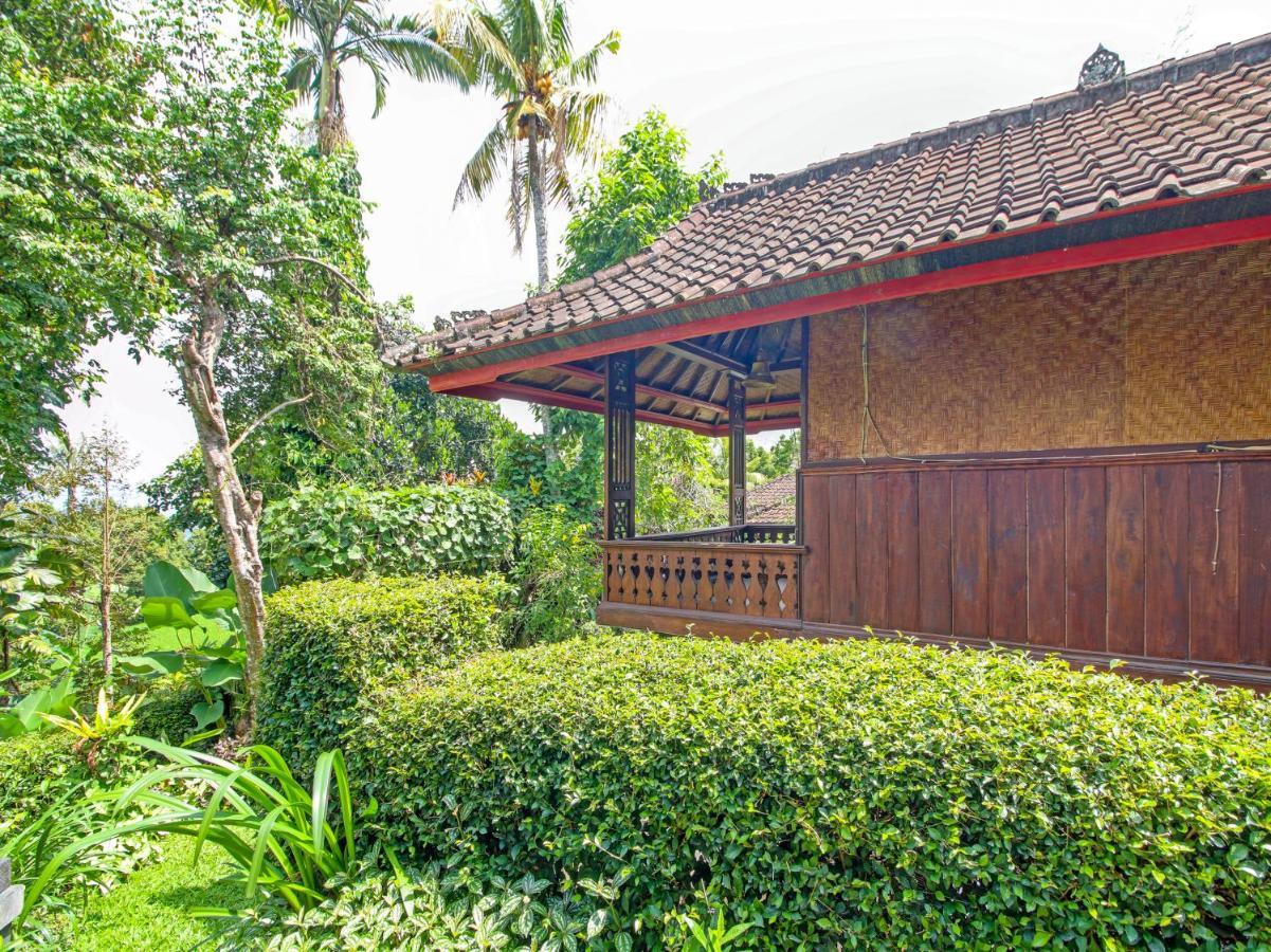 Oyo Homes 91091 Desa Wisata Umejero Munduk Zewnętrze zdjęcie
