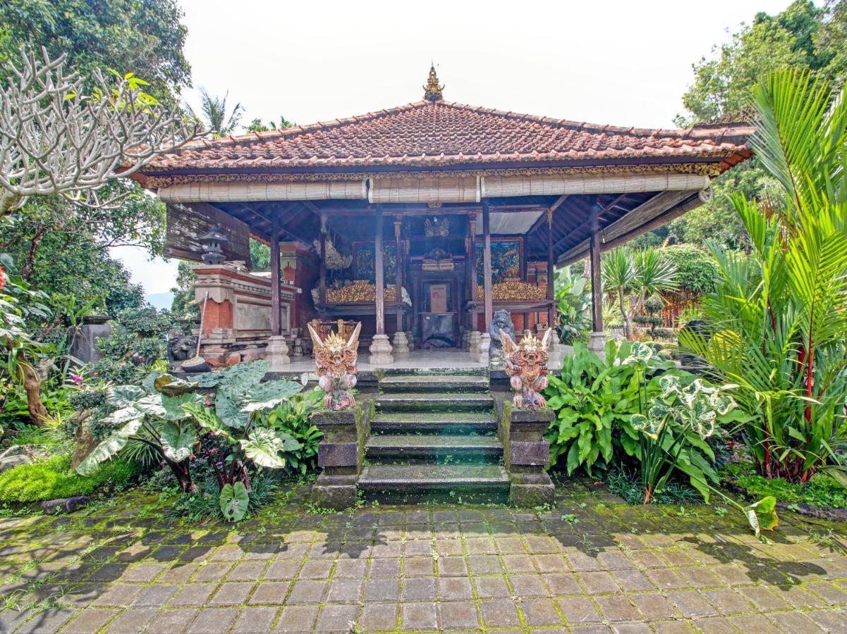 Oyo Homes 91091 Desa Wisata Umejero Munduk Zewnętrze zdjęcie