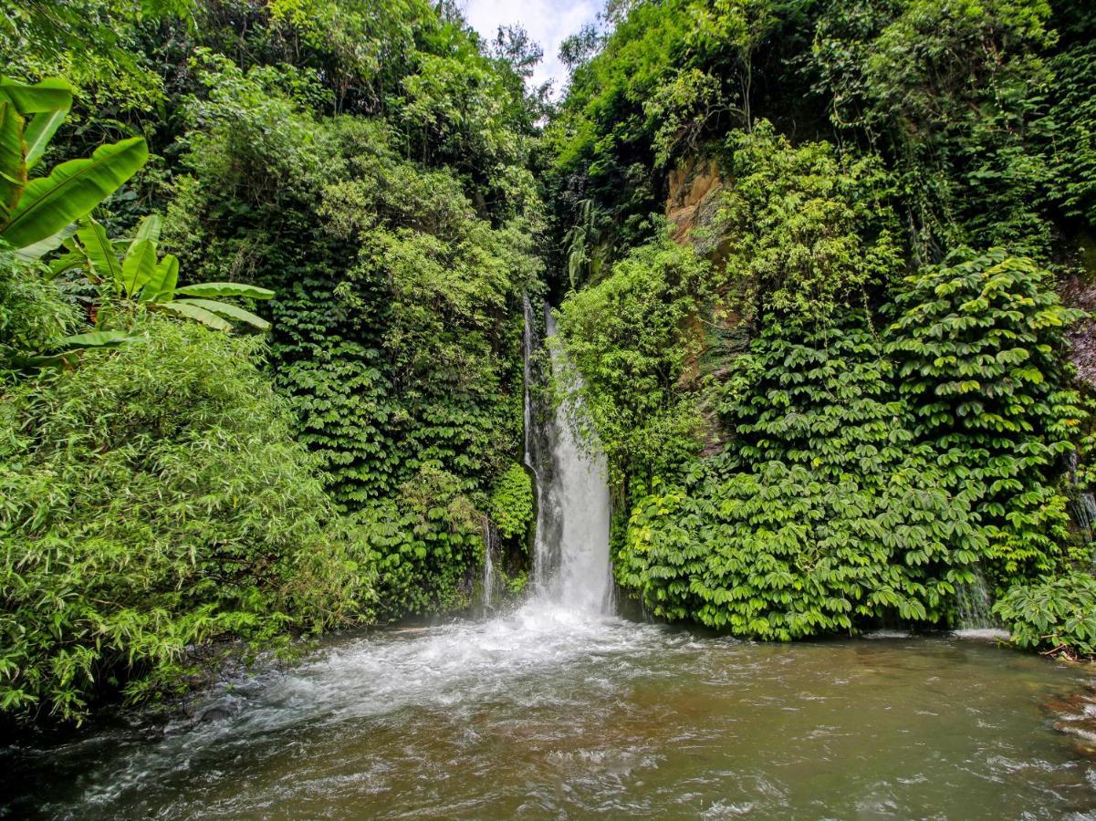 Oyo Homes 91091 Desa Wisata Umejero Munduk Zewnętrze zdjęcie