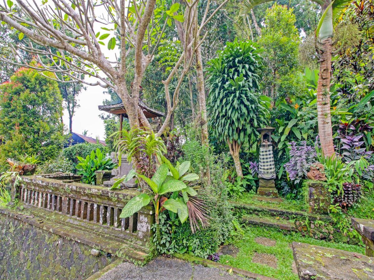 Oyo Homes 91091 Desa Wisata Umejero Munduk Zewnętrze zdjęcie