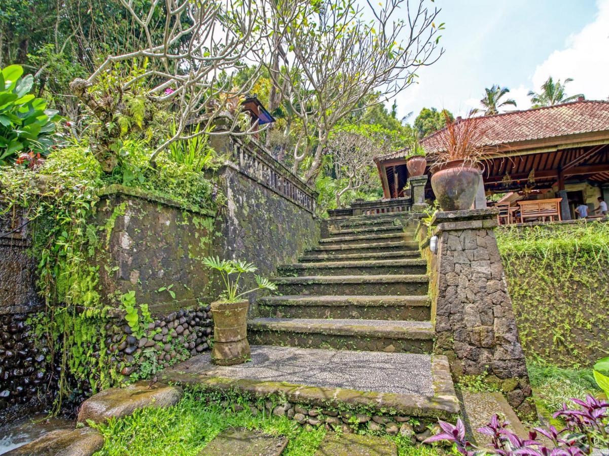 Oyo Homes 91091 Desa Wisata Umejero Munduk Zewnętrze zdjęcie
