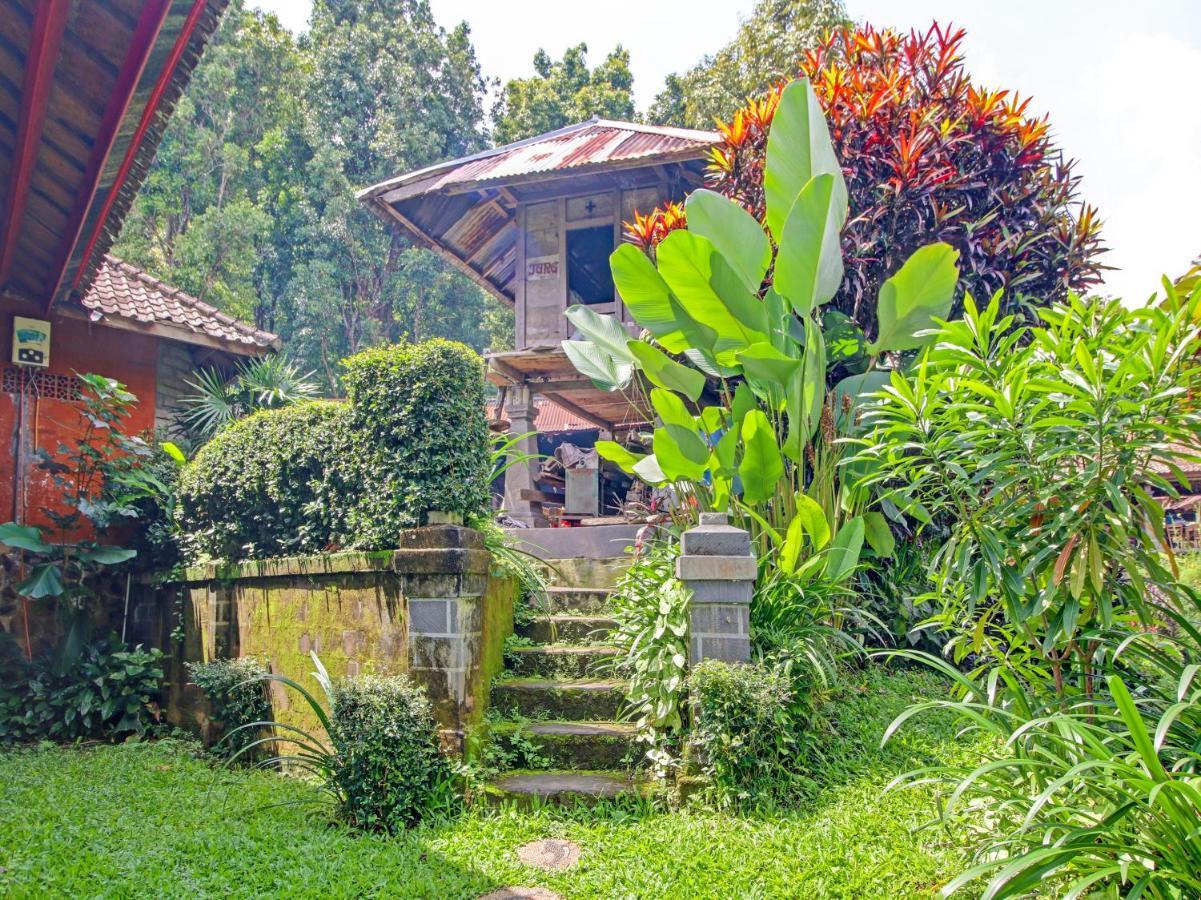 Oyo Homes 91091 Desa Wisata Umejero Munduk Zewnętrze zdjęcie