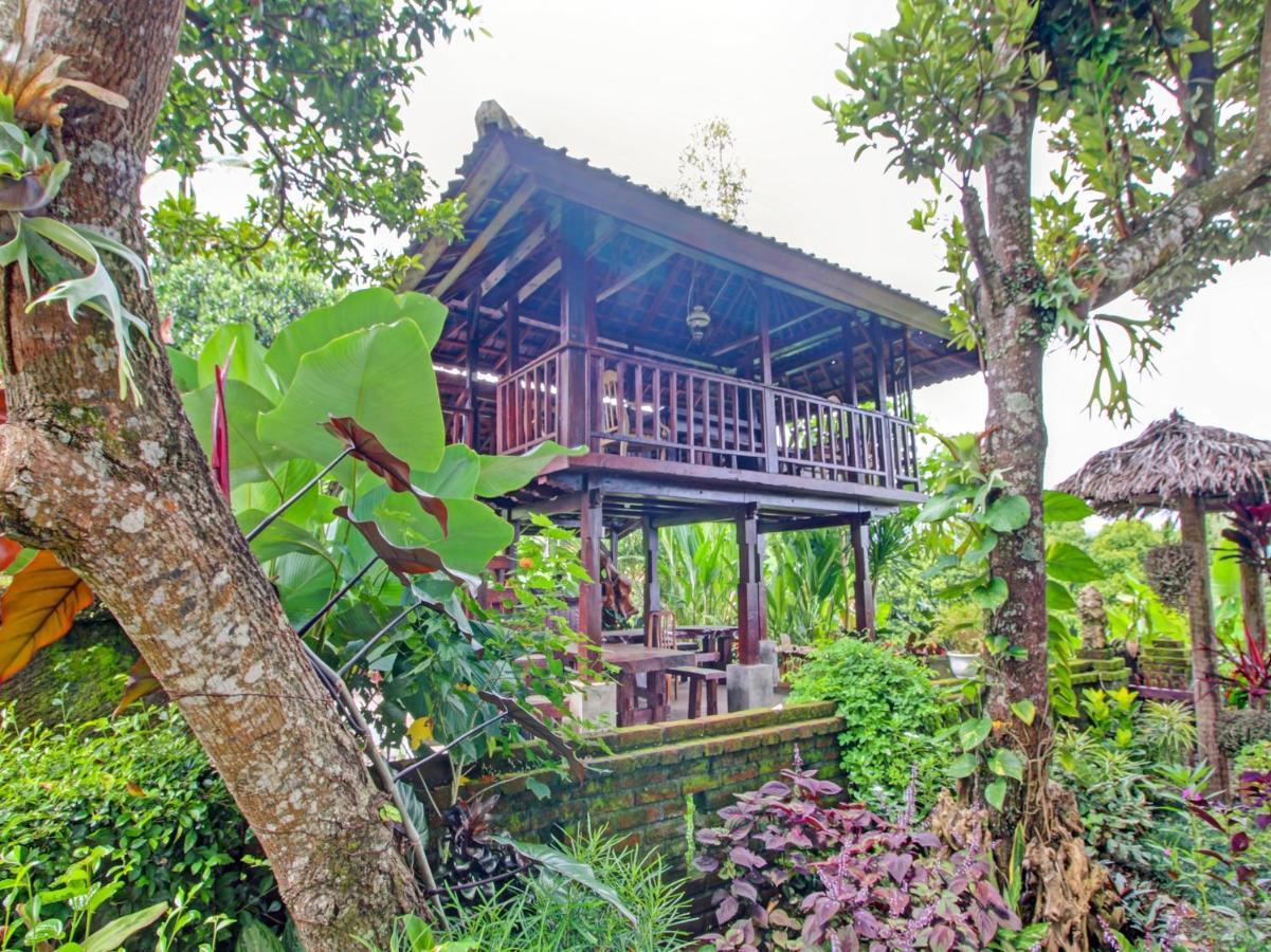 Oyo Homes 91091 Desa Wisata Umejero Munduk Zewnętrze zdjęcie